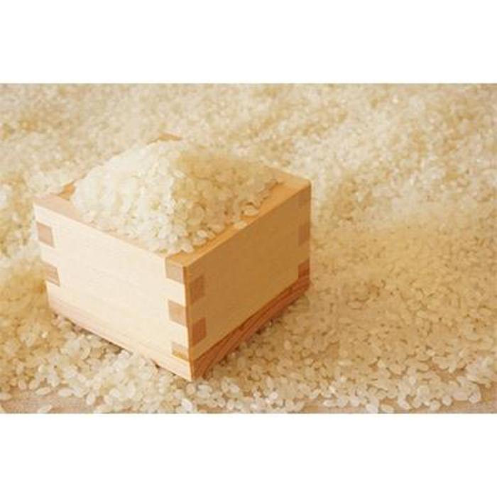 【ふるさと納税】【令和7年産】福岡県産ブランド米「夢つくし」白米 5kg | 米 お米 こめ 新米 白米 精米 ライス ブランド米 お取り寄せグルメ お取り寄せ 美味しい おいしい ご飯 ごはん 料理 人気 おすすめ ふるさと納税 福岡県 大川市 - 画像2