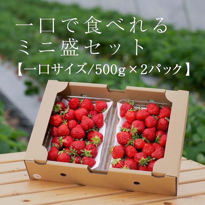 【2026年1月～4月出荷分予約販売】★たっぷり1000g！★ミニサイズの「完熟あまおう」セット | 取り寄せ お取り寄せ グルメ ご当地 あまおう いちご お歳暮 福岡県 イチゴ 苺 itigo 博多あまおう 高級 完熟 フルーツ