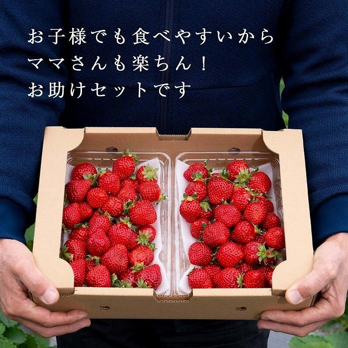 【ふるさと納税】【2026年1月～4月出荷分予約販売】★たっぷり1000g！★ミニサイズの「完熟あまおう」セット | 取り寄せ お取り寄せ グルメ ご当地 あまおう いちご お歳暮 福岡県 イチゴ 苺 itigo 博多あまおう 高級 完熟 フルーツ サムネイル2