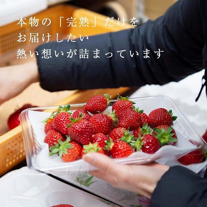 【ふるさと納税】【2026年1月～4月出荷分予約販売】★たっぷり1000g！★ミニサイズの「完熟あまおう」セット | 取り寄せ お取り寄せ グルメ ご当地 あまおう いちご お歳暮 福岡県 イチゴ 苺 itigo 博多あまおう 高級 完熟 フルーツ サムネイル3
