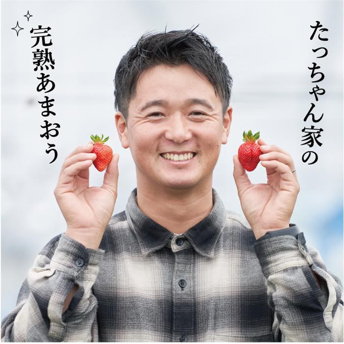 【ふるさと納税】【2026年2月1日～4月30日までに発送！】有機肥料にこだわったたっちゃん家の完熟あまおう（270g×4パック）【配送不可地域：北海道・沖縄・離島】 | 果物 くだもの フルーツ 苺 ストロベリー イチゴ いちご 人気 おすすめ グルメ 福岡県 大川市 サムネイル3
