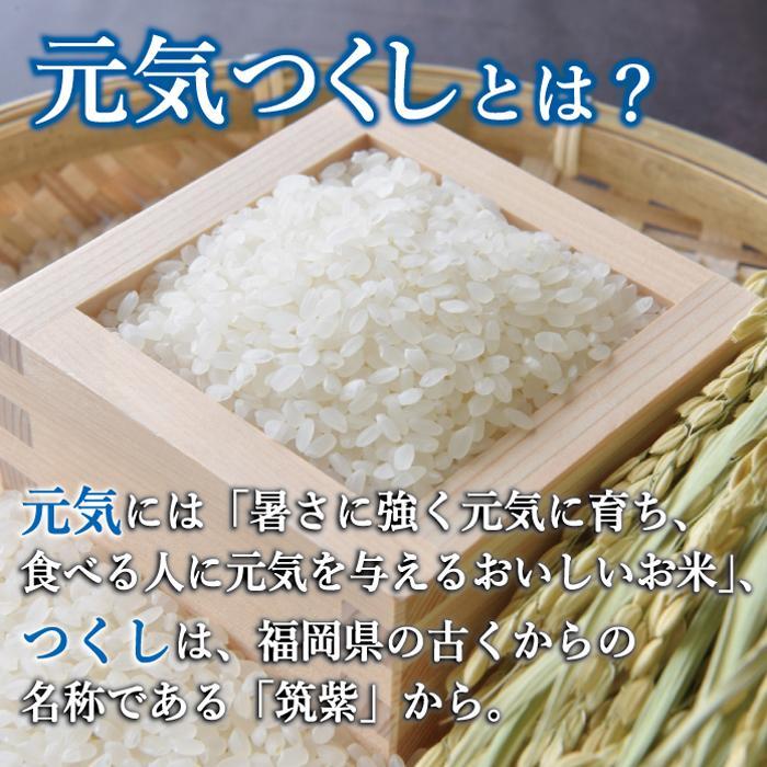 【ふるさと納税】令和7年産 福岡県産 米 5kg 金のめし丸 元気つくし | 米 精米 お米 こめ 白米 ライス ブランド米 お取り寄せ 美味しい おいしい ご飯 ごはん 料理 調理 人気 おすすめ 小分け ふるさと納税 ふるさと 納税 福岡県 大川市 - 画像2