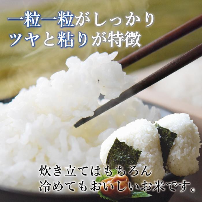 【ふるさと納税】令和7年産 福岡県産 米 5kg 金のめし丸 元気つくし | 米 精米 お米 こめ 白米 ライス ブランド米 お取り寄せ 美味しい おいしい ご飯 ごはん 料理 調理 人気 おすすめ 小分け ふるさと納税 ふるさと 納税 福岡県 大川市 - 画像3