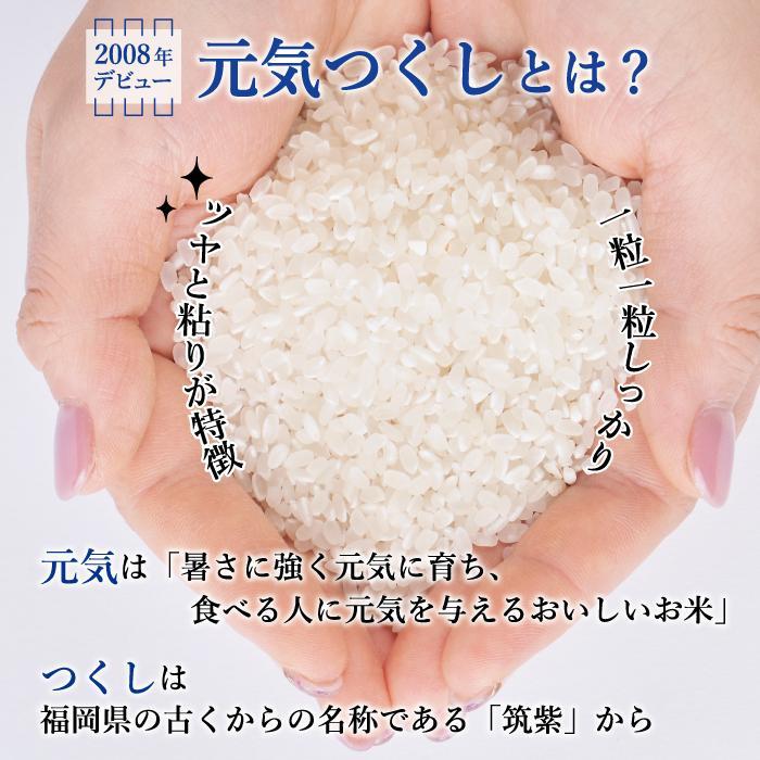 【ふるさと納税】【令和8年度新米】先行予約受付 数量限定 玄米(特別栽培農産物)元気つくし 5kg×2袋 (計10kg) - 画像2