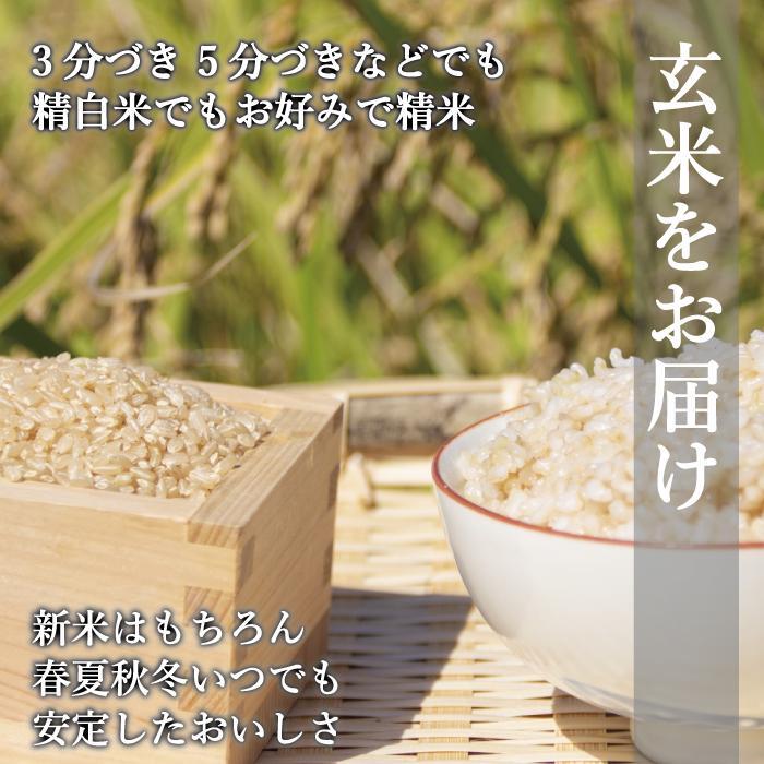 【ふるさと納税】【令和8年度新米】先行予約受付 数量限定 玄米(特別栽培農産物)元気つくし 5kg×2袋 (計10kg) - 画像3