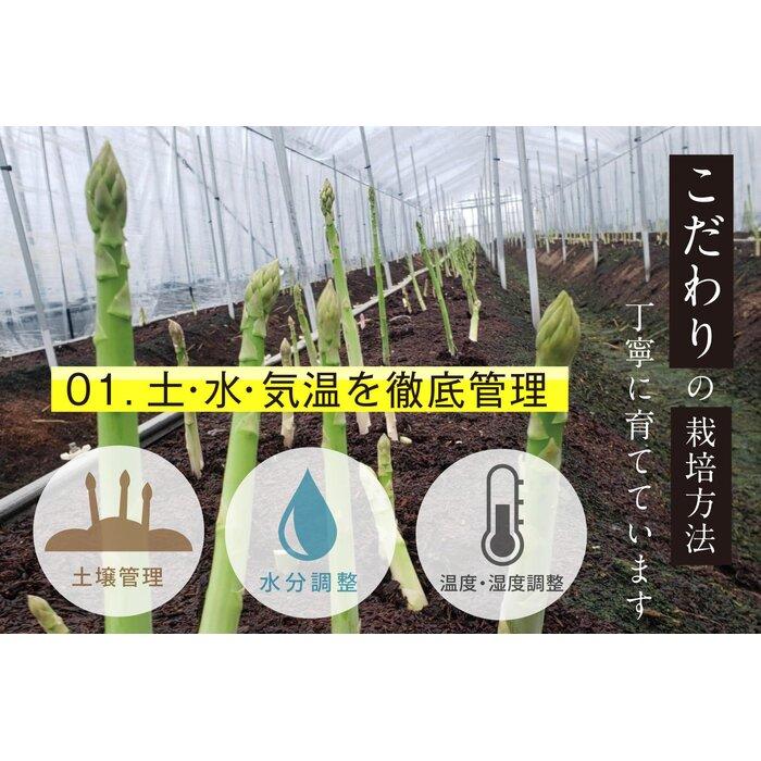 【ふるさと納税】【朝採り直送】夏芽アスパラガス 1kg（2L-Lサイズ）福岡県産 2026年 | 福岡県 大川市 ふるさと納税 ふるさと 納税 お取り寄せグルメ 取り寄せ グルメ 野菜 アスパラガス - 画像2