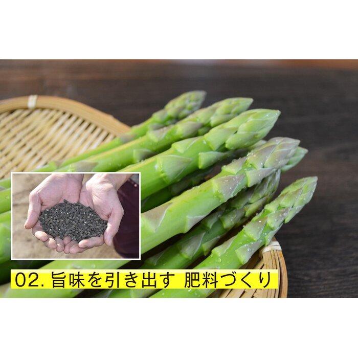 【ふるさと納税】【朝採り直送】夏芽アスパラガス 1kg（2L-Lサイズ）福岡県産 2026年 | 福岡県 大川市 ふるさと納税 ふるさと 納税 お取り寄せグルメ 取り寄せ グルメ 野菜 アスパラガス - 画像3