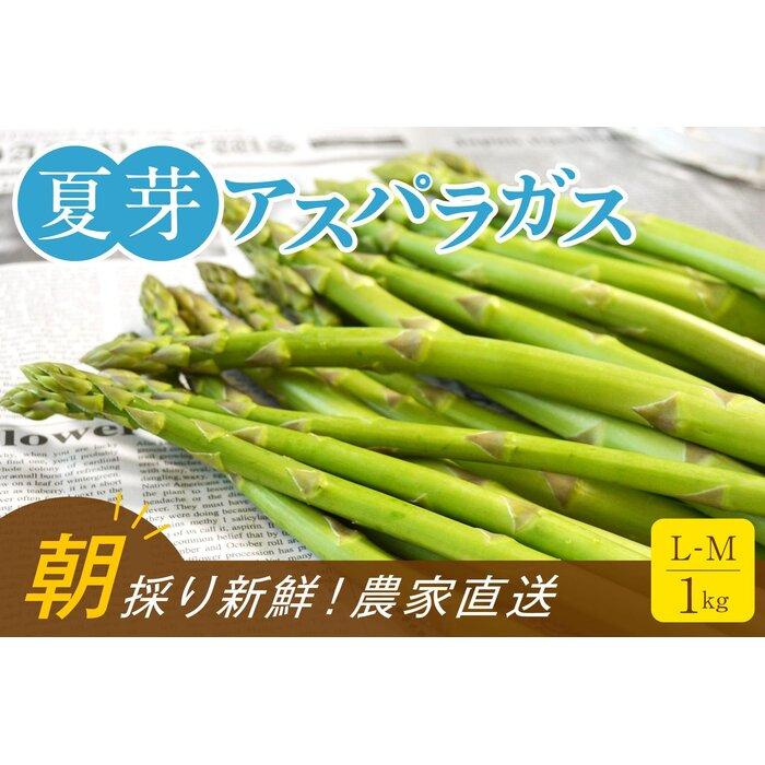 【朝採り直送】夏芽アスパラガス 1kg（L-Mサイズ）福岡県産 2026年 | 福岡県 大川市 ふるさと納税 ふるさと 納税 お取り寄せグルメ 取り寄せ グルメ 野菜 アスパラガス