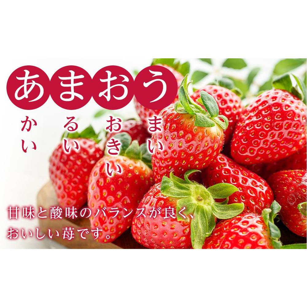【ふるさと納税】福岡県産　冷凍あまおう500g（250g×2個） サムネイル2
