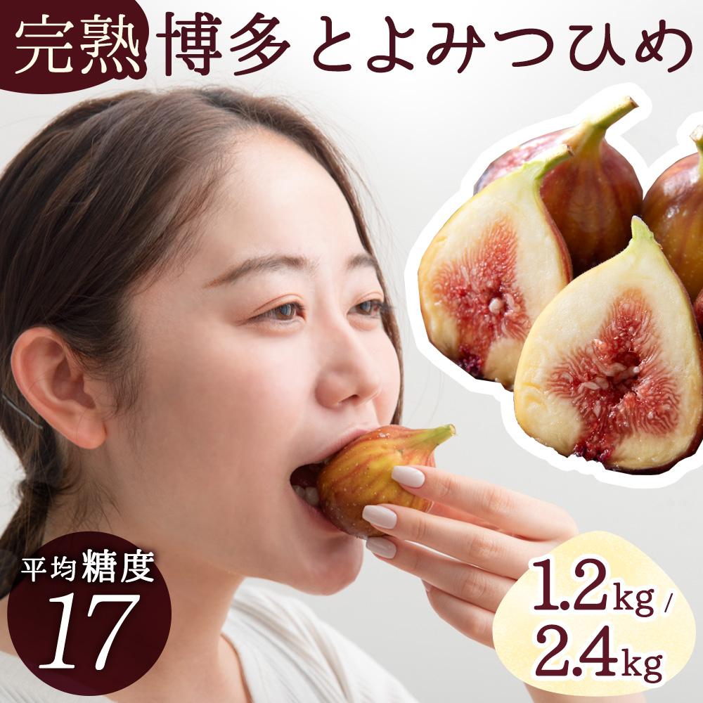 先行予約 福岡限定ブランド いちじく とよみつひめ 2026年発送 ( 2026年8月中旬～10月下旬 ) | 無花果 イチジク 肉厚 果物 フルーツ 生 旬 朝ごはん 朝食 デザート お取り寄せ 福岡県産 国産 ふるさと納税 福岡県 大川市