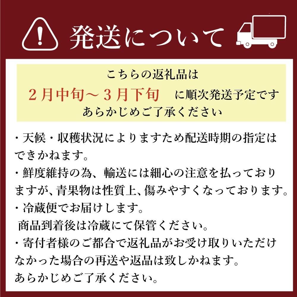 【ふるさと納税】★先行予約★いちごの王様 福岡県産博多あまおう270g×4パック【2026年2月中旬～3月順次出荷予定】 サムネイル2