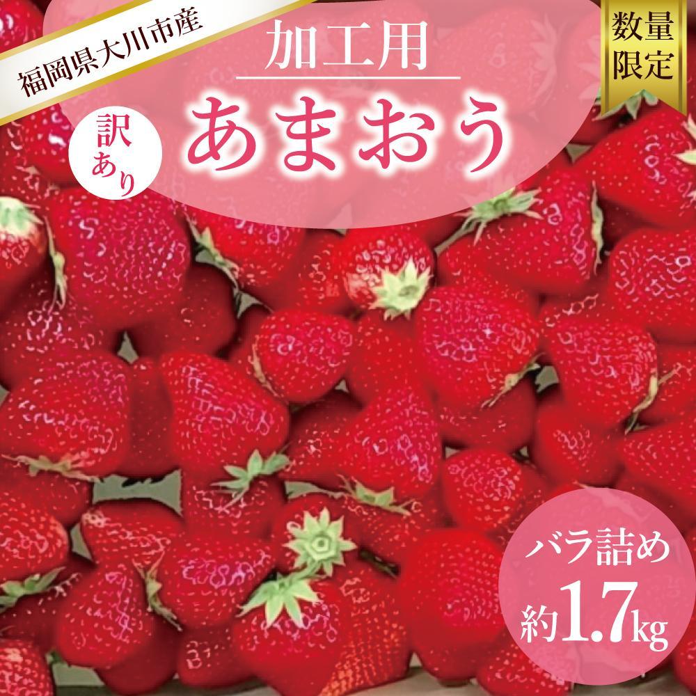 【2026年5月以降順次発送】訳あり加工用あまおういちご バラ詰め福岡県産 たっぷり約1.7kg＜配送不可：北海道、沖縄県、離島＞ | 福岡県 大川市 食べ物 ご当地 いちご イチゴ 苺 あまおう苺 特産品 名産 フルーツ
