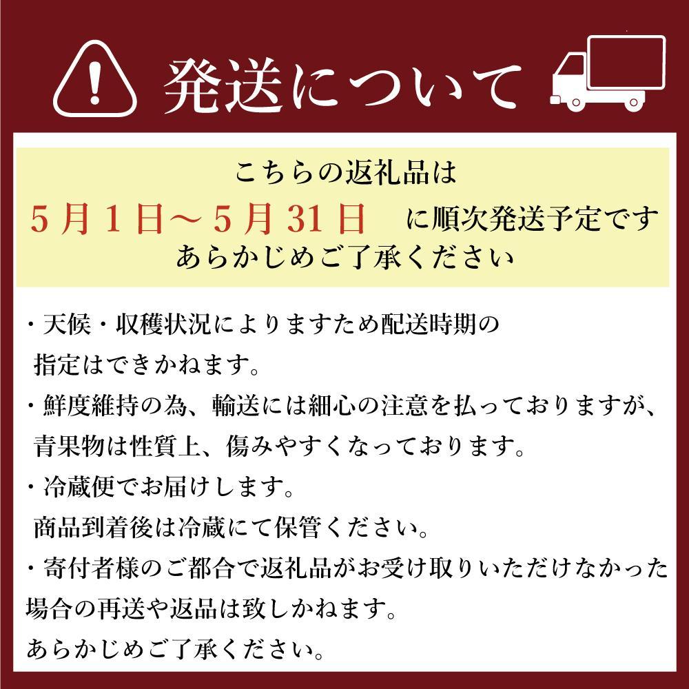 【ふるさと納税】【2026年5月以降順次発送】訳あり加工用あまおういちご バラ詰め福岡県産 たっぷり約1.7kg＜配送不可：北海道、沖縄県、離島＞ | 福岡県 大川市 食べ物 ご当地 いちご イチゴ 苺 あまおう苺 特産品 名産 フルーツ サムネイル2