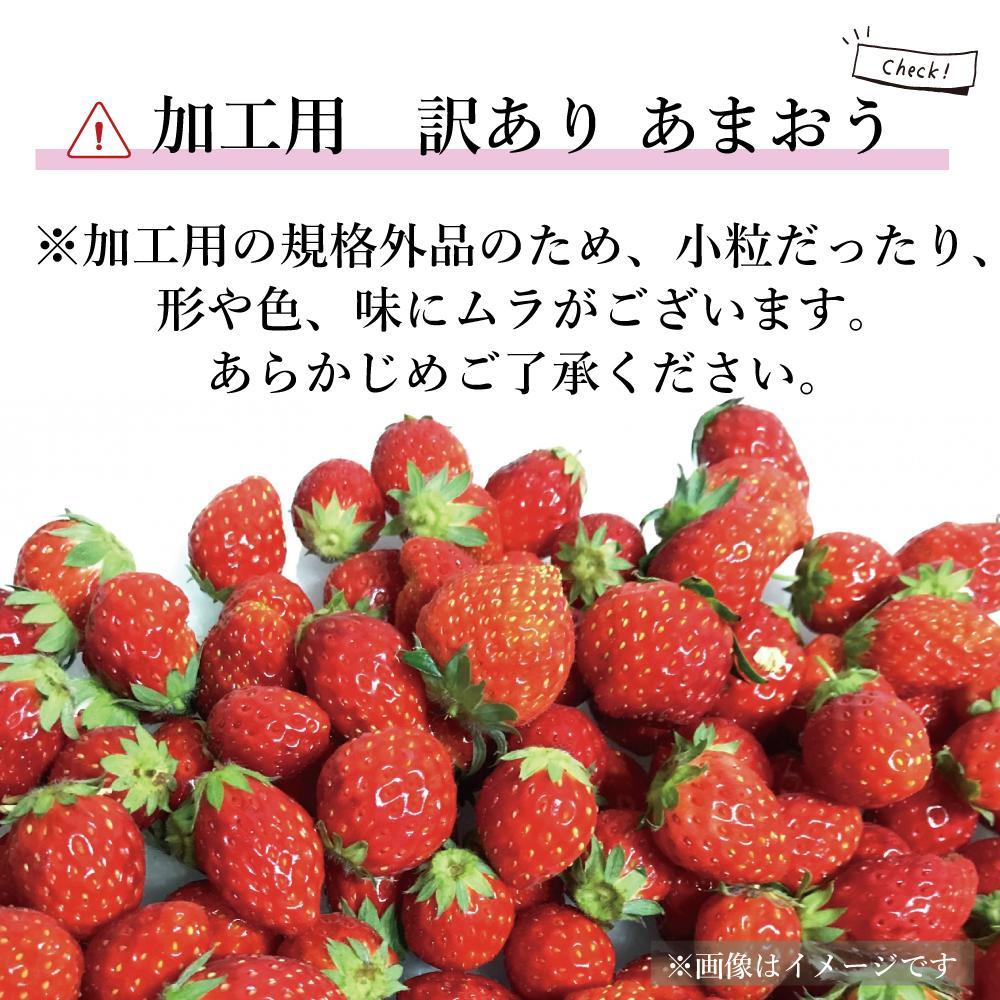 【ふるさと納税】【2026年5月以降順次発送】訳あり加工用あまおういちご バラ詰め福岡県産 たっぷり約1.7kg＜配送不可：北海道、沖縄県、離島＞ | 福岡県 大川市 食べ物 ご当地 いちご イチゴ 苺 あまおう苺 特産品 名産 フルーツ サムネイル3