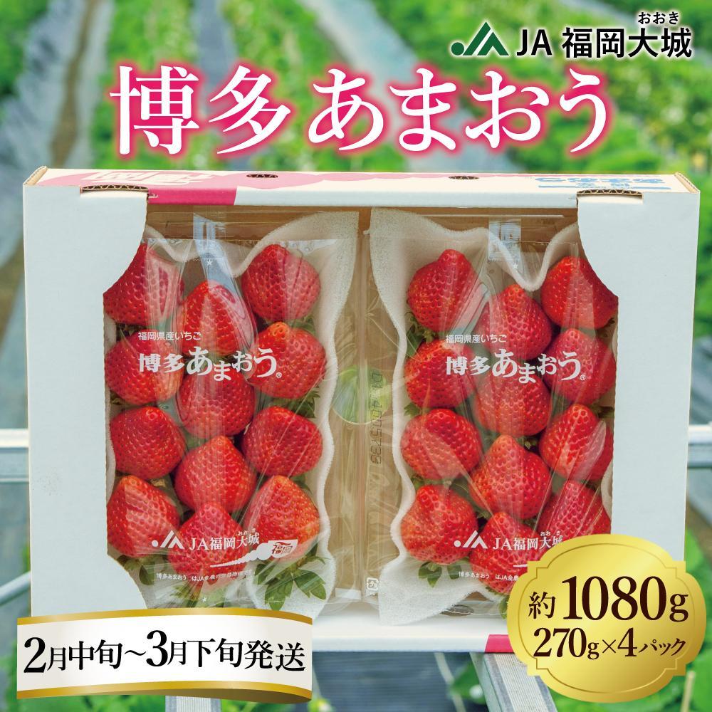 ★先行予約★いちごの王様 福岡県産博多あまおう270g×4パック【2026年2月中旬～3月順次出荷予定】