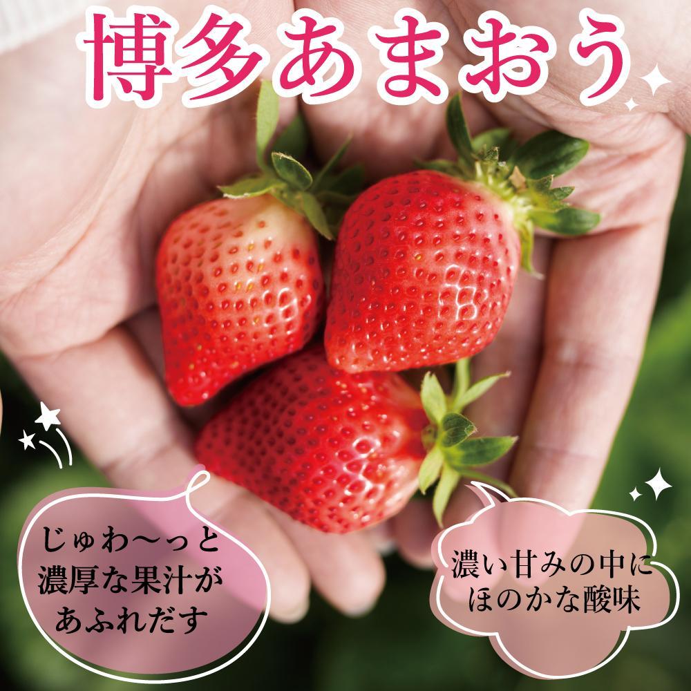 【ふるさと納税】★先行予約★いちごの王様 福岡県産博多あまおう270g×4パック【2026年2月中旬～3月順次出荷予定】 サムネイル3