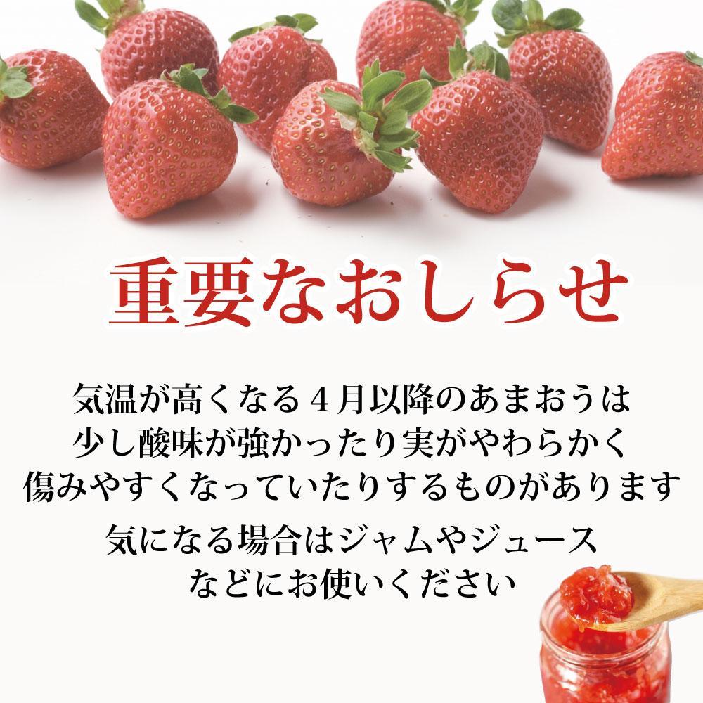 【ふるさと納税】【2026年4月出荷予定】訳あり あまおう 280g×6パック(約1680g)＜配送不可：北海道、沖縄県、離島＞ | 福岡県 大川市 食べ物 取り寄せ お取り寄せグルメ ご当地 ご当地グルメ いちご イチゴ 苺 あまおう苺 特産品 名産 フルーツ お取り寄せフルーツ サムネイル2