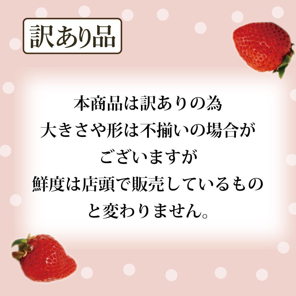 【ふるさと納税】【2026年4月出荷予定】訳あり あまおう 280g×6パック(約1680g)＜配送不可：北海道、沖縄県、離島＞ | 福岡県 大川市 食べ物 取り寄せ お取り寄せグルメ ご当地 ご当地グルメ いちご イチゴ 苺 あまおう苺 特産品 名産 フルーツ お取り寄せフルーツ サムネイル3