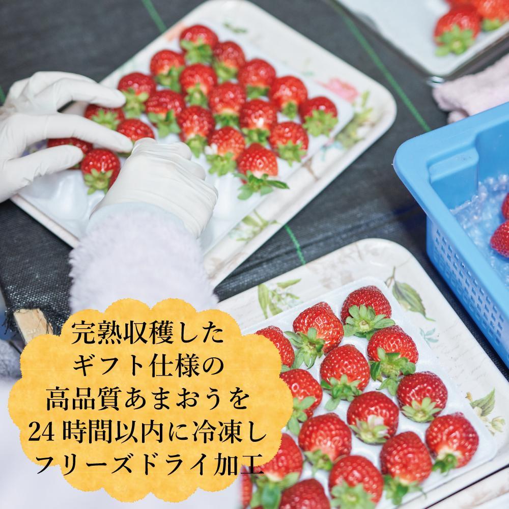 【ふるさと納税】フリーズドライ いちご 完熟 あまおう 丸ごと 苺 小分け ギフト 48g ( 12g × 4袋 ) | 果肉 くだもの フルーツ フルーツ ストロベリー お菓子 菓子 スムージー 朝食 ヨーグルト おやつ イチゴ 製菓材料 グルメ お取り寄せ 福岡県 大川市 サムネイル3