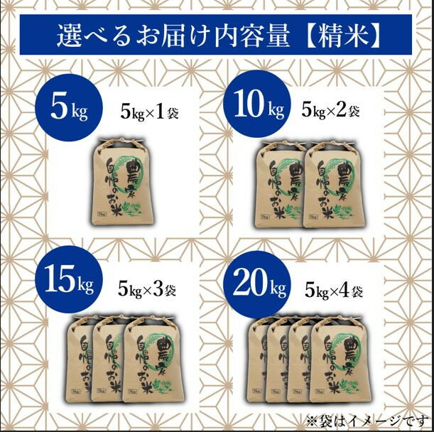【ふるさと納税】＼令和7年産 ／ 福岡県大川市産 ブランド 米 元気つくし ≪容量選択可能≫ 5kg 10kg 15kg 20kg | お米 米 こめ 精米 白米 5kg袋 ライス ブランド米 ごはん ご飯 ふるさと納税 大川市 - 画像2