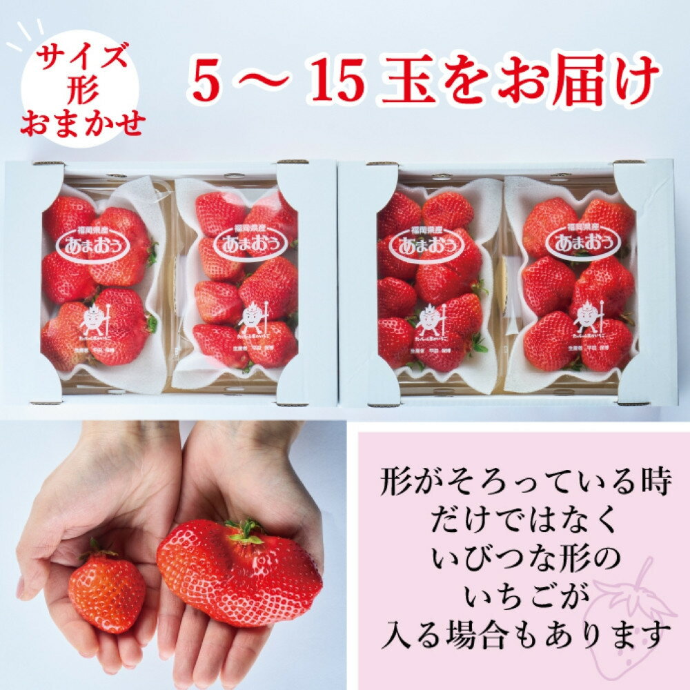 【ふるさと納税】【2026年2月1日～4月30日までに発送！】有機肥料にこだわったたっちゃん家の完熟あまおう（270g×4パック）【配送不可地域：北海道・沖縄・離島】 | 果物 くだもの フルーツ 苺 ストロベリー イチゴ いちご 人気 おすすめ グルメ 福岡県 大川市 サムネイル2