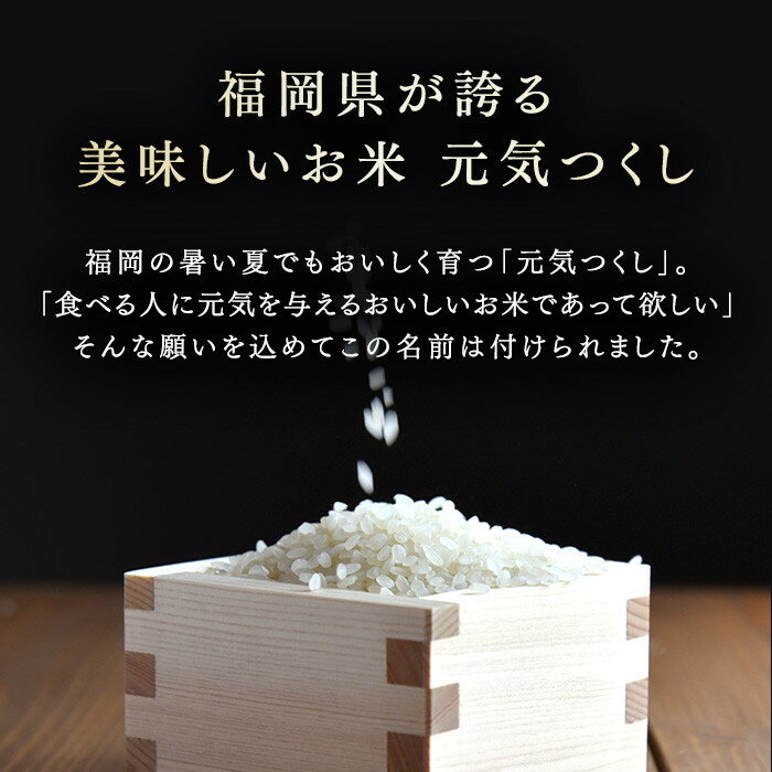 【ふるさと納税】＼令和7年産 ／ 福岡県大川市産 ブランド 米 元気つくし ≪容量選択可能≫ 5kg 10kg 15kg 20kg | お米 米 こめ 精米 白米 5kg袋 ライス ブランド米 ごはん ご飯 ふるさと納税 大川市 - 画像3