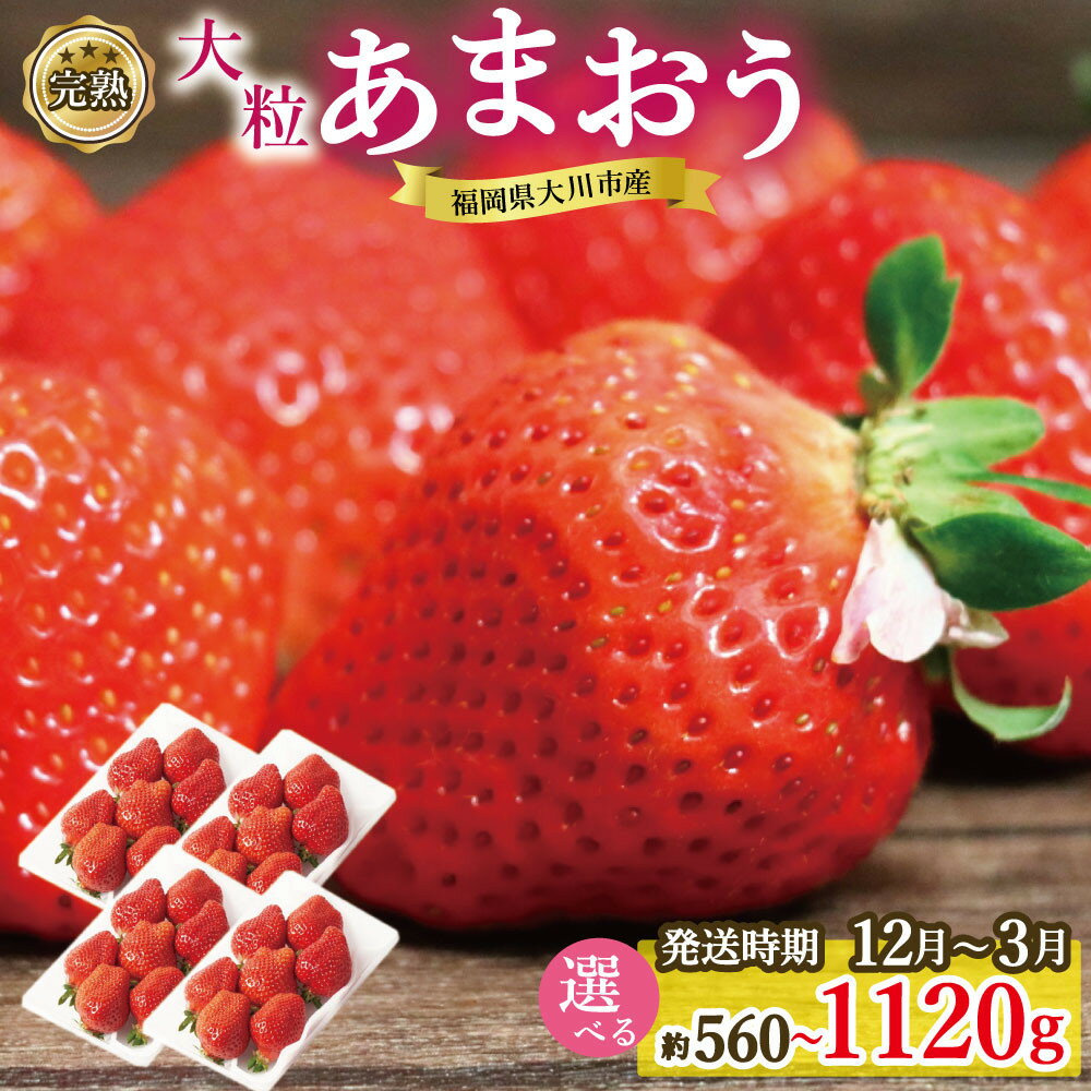 完熟 大粒 あまおう イチゴ 280g×2～4パック 選べる配送時期＜配送不可：北海道、沖縄県、離島＞ | 福岡県 大川市 福岡県大川市 ふるさと 納税 食べ物 取り寄せ お取り寄せグルメ ご当地 ご当地グルメ いちご イチゴ 苺 あまおう苺 特産品 名産 フルーツ