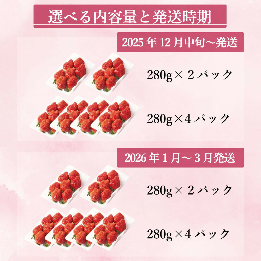 【ふるさと納税】完熟 大粒 あまおう イチゴ 280g×2～4パック 選べる配送時期＜配送不可：北海道、沖縄県、離島＞ | 福岡県 大川市 福岡県大川市 ふるさと 納税 食べ物 取り寄せ お取り寄せグルメ ご当地 ご当地グルメ いちご イチゴ 苺 あまおう苺 特産品 名産 フルーツ サムネイル2