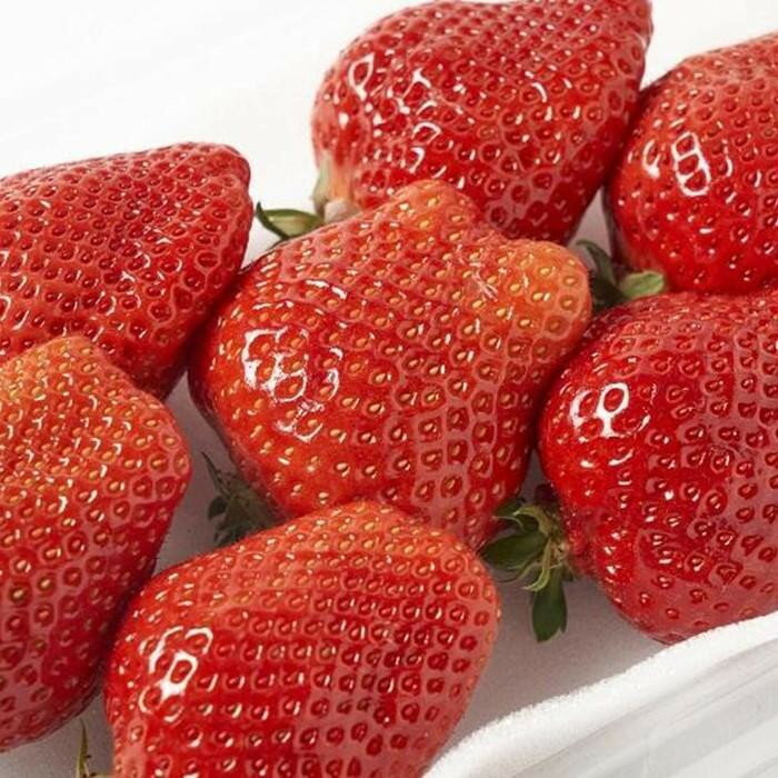 【ふるさと納税】完熟 大粒 あまおう イチゴ 280g×2～4パック 選べる配送時期＜配送不可：北海道、沖縄県、離島＞ | 福岡県 大川市 福岡県大川市 ふるさと 納税 食べ物 取り寄せ お取り寄せグルメ ご当地 ご当地グルメ いちご イチゴ 苺 あまおう苺 特産品 名産 フルーツ サムネイル3