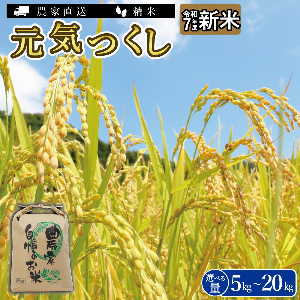 ＼令和7年産 ／ 福岡県大川市産 ブランド 米 元気つくし ≪容量選択可能≫ 5kg 10kg 15kg 20kg | お米 米 こめ 精米 白米 5kg袋 ライス ブランド米 ごはん ご飯 ふるさと納税 大川市