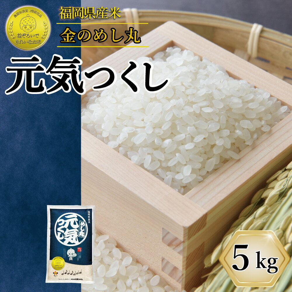令和7年産 福岡県産 米 5kg 金のめし丸 元気つくし | 米 精米 お米 こめ 白米 ライス ブランド米 お取り寄せ 美味しい おいしい ご飯 ごはん 料理 調理 人気 おすすめ 小分け ふるさと納税 ふるさと 納税 福岡県 大川市