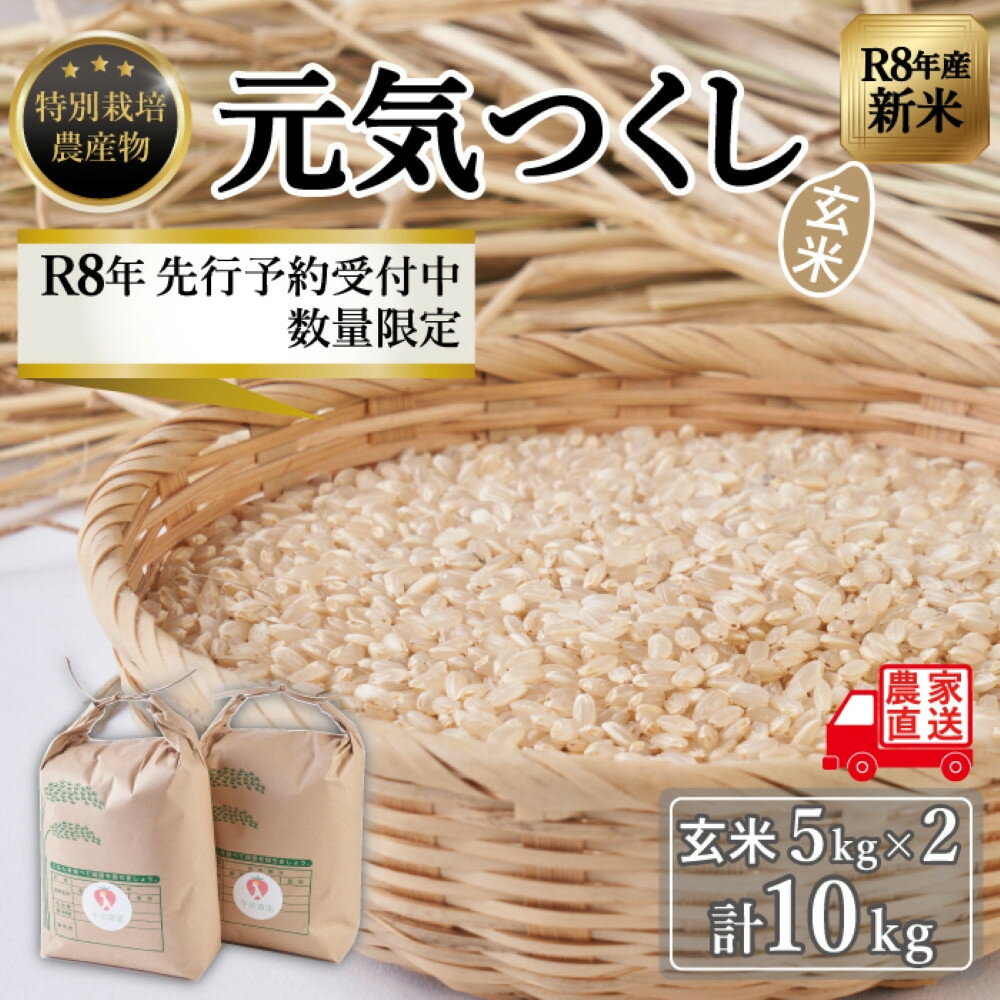 【令和8年度新米】先行予約受付 数量限定 玄米(特別栽培農産物)元気つくし 5kg×2袋 (計10kg)