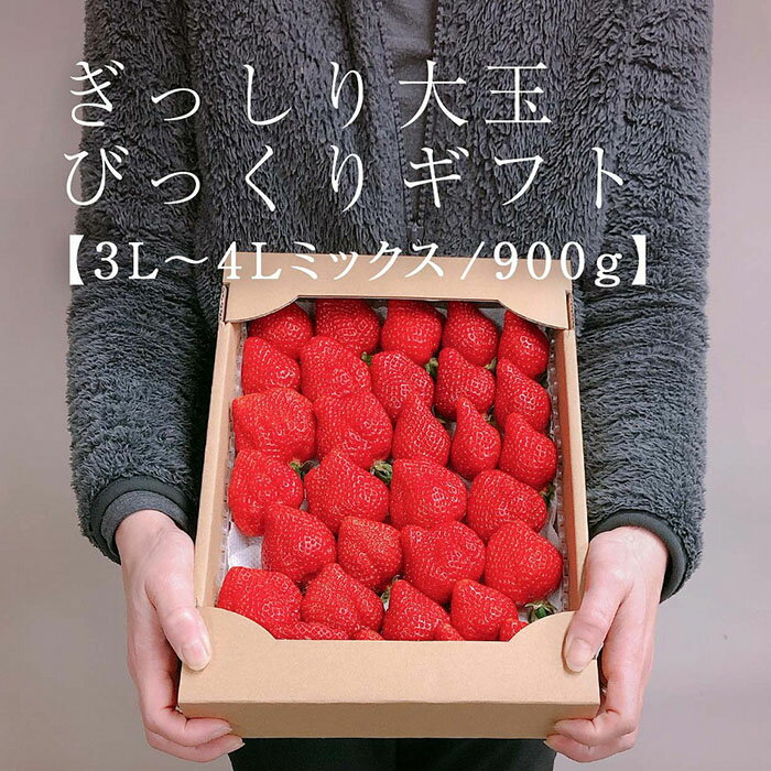 【2026年1月～4月出荷分予約販売】★身近な人間関係のお祝いに★「完熟あまおう」3L～4Lミックス詰め合わせ 900g入り | いちご 完熟 あまおう 苺 ストロベリー 大粒 900g 産地直送 産直 フルーツ 果物 くだもの 高級 ギフト 福岡県 大川市