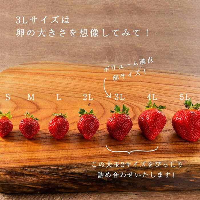 【ふるさと納税】【2026年1月～4月出荷分予約販売】★身近な人間関係のお祝いに★「完熟あまおう」3L～4Lミックス詰め合わせ 900g入り | いちご 完熟 あまおう 苺 ストロベリー 大粒 900g 産地直送 産直 フルーツ 果物 くだもの 高級 ギフト 福岡県 大川市 サムネイル3