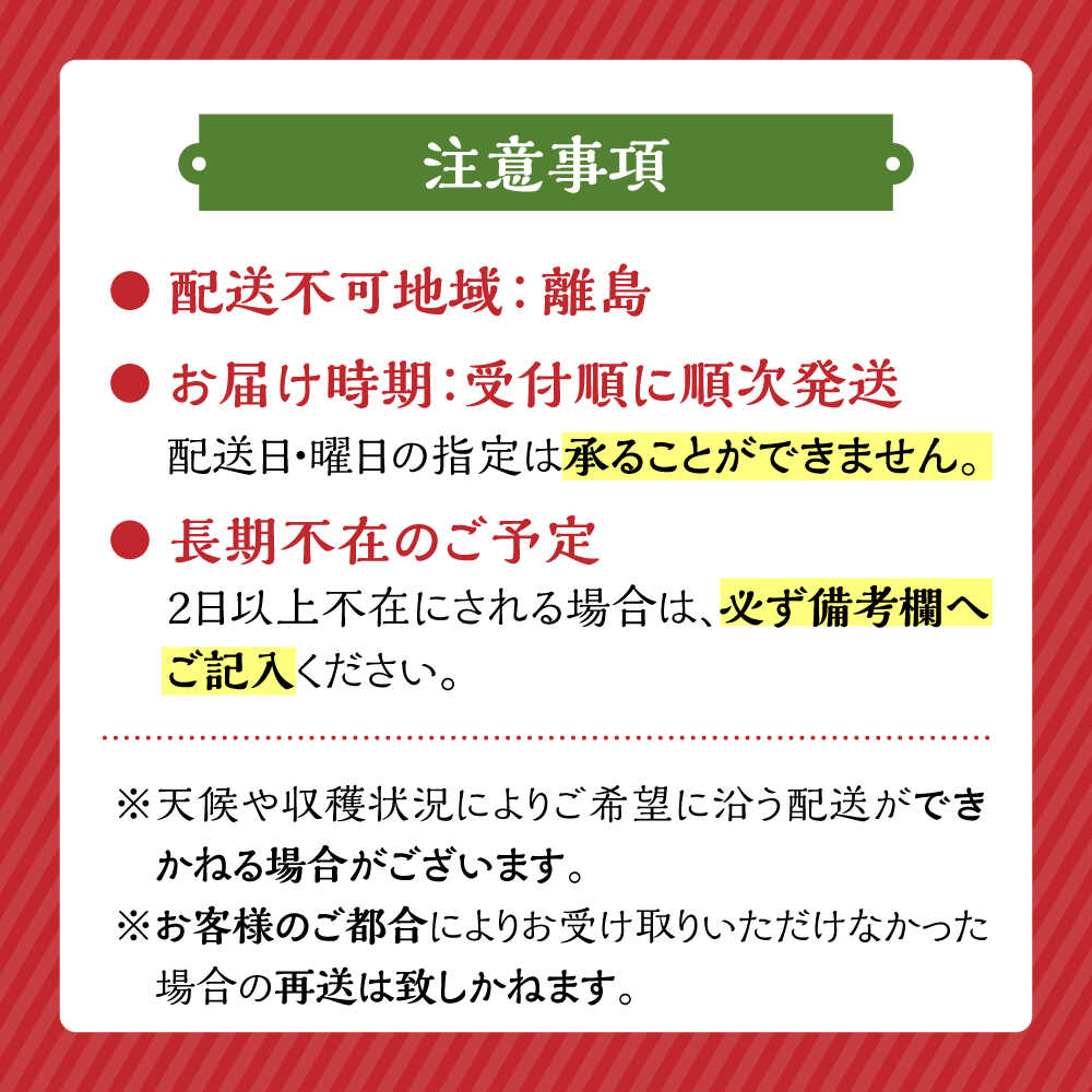 【ふるさと納税】【先行予約】あまおう 540g 1080g 2パック 4パック いちご《豊前市》【内藤農園】[VAB002] 土耕栽培 くだもの 果物 - 画像3