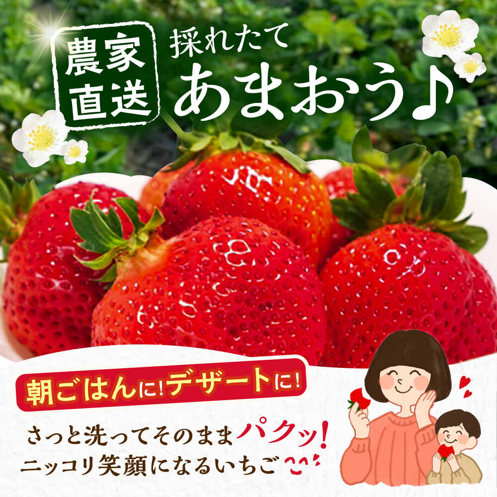 【ふるさと納税】【2月-4月発送】農家直送 あまおう 厳選デラックス G 1080g （270g以上 × 4 パック） 土耕栽培 《豊前市》【内藤農園】果物 いちご [VAB001] 14000 14000円 サムネイル2