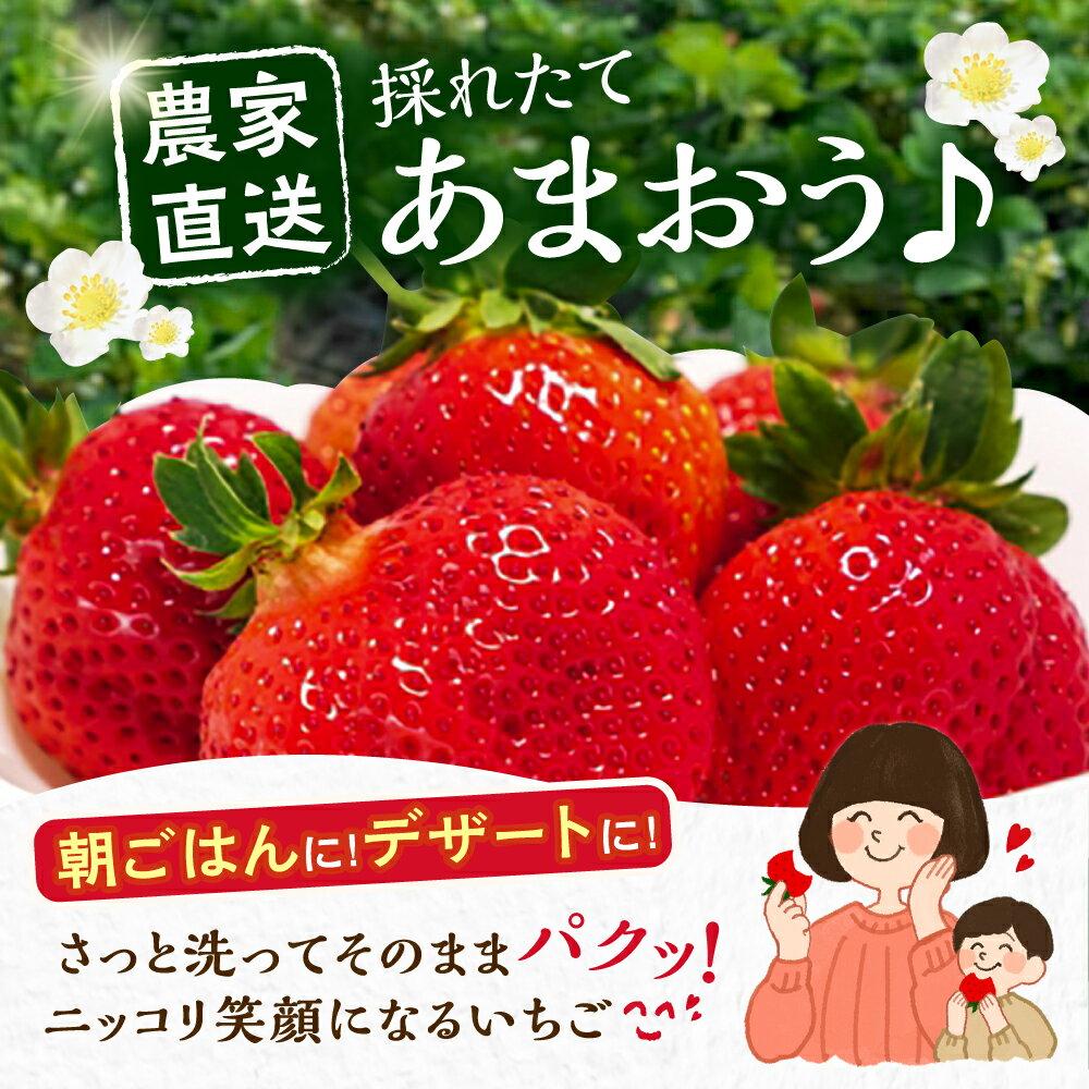 【ふるさと納税】【先行予約】あまおう 厳選デラックスG 540g 1080g 2パック 4パック いちご《豊前市》【内藤農園】[VAB001] 土耕栽培 くだもの 果物 - 画像2