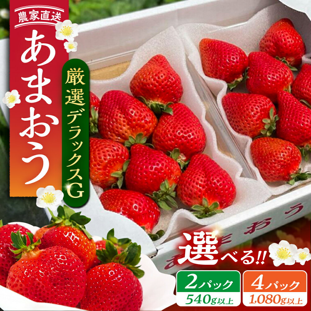 【先行予約】あまおう 厳選デラックスG 540g 1080g 2パック 4パック いちご《豊前市》【内藤農園】[VAB001] 土耕栽培 くだもの 果物