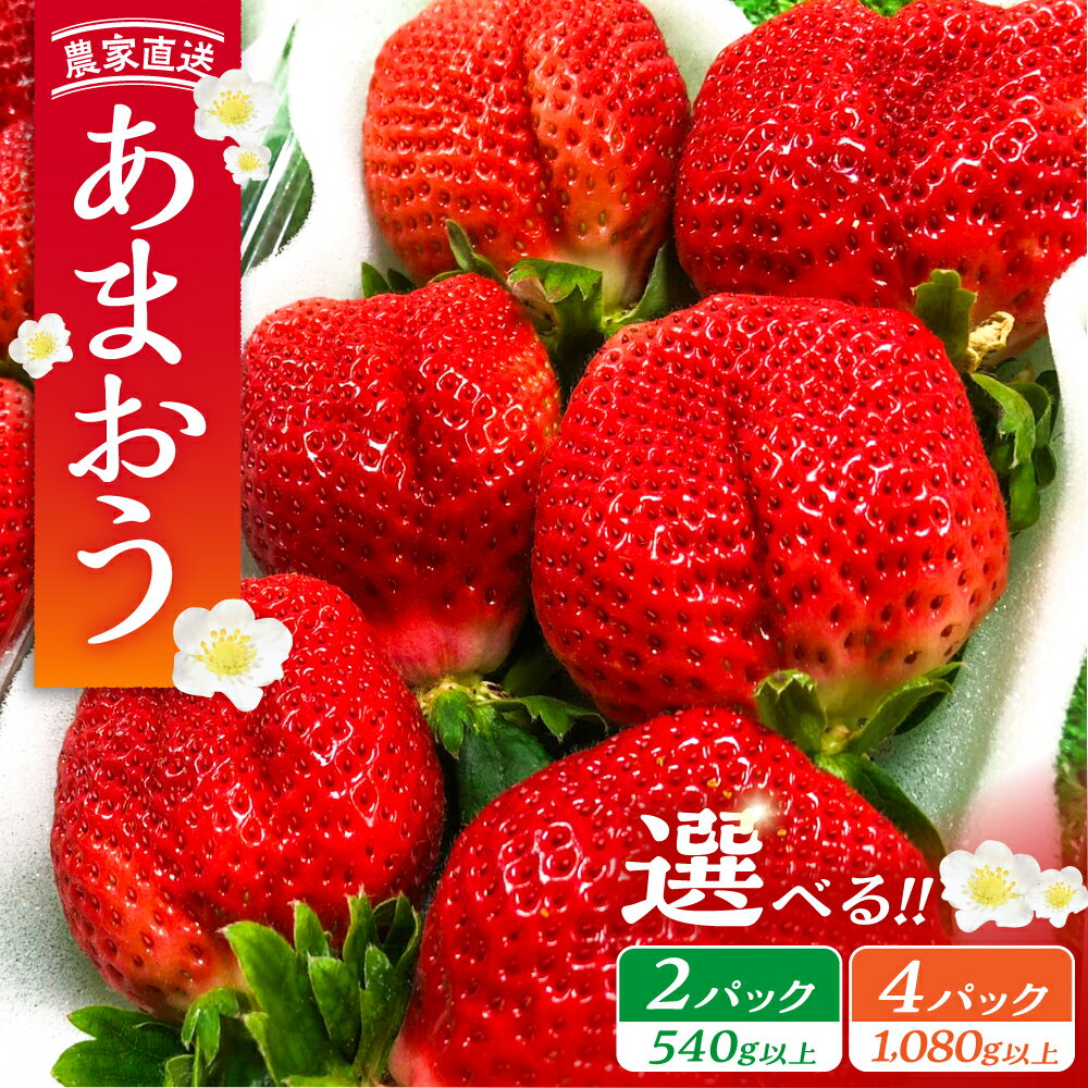 【先行予約】あまおう 540g 1080g 2パック 4パック いちご《豊前市》【内藤農園】[VAB002] 土耕栽培 くだもの 果物