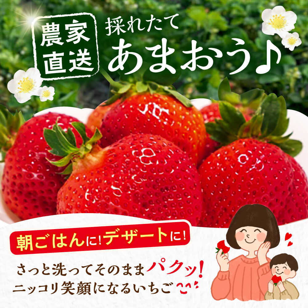 【ふるさと納税】【先行予約】【12月発送】農家直送 あまおう 1080g (270g以上 × 4パック) 土耕栽培《豊前市》【内藤農園】果物 いちご[VAB006] 14000 14000円 サムネイル2