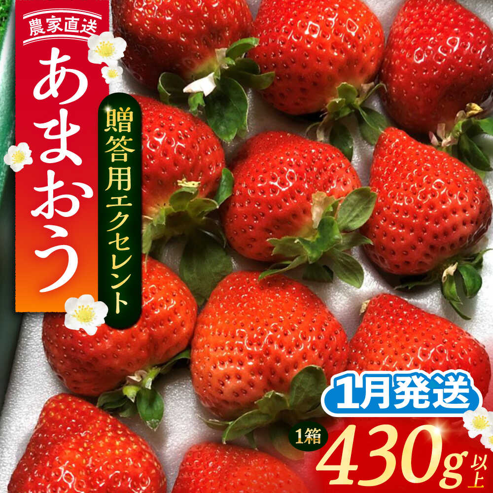 【先行予約】【1月発送】 あまおう 贈答用 エクセレント 430g以上×1箱 《豊前市》【内藤農園】果物 いちご[VAB009] 12000 12000円