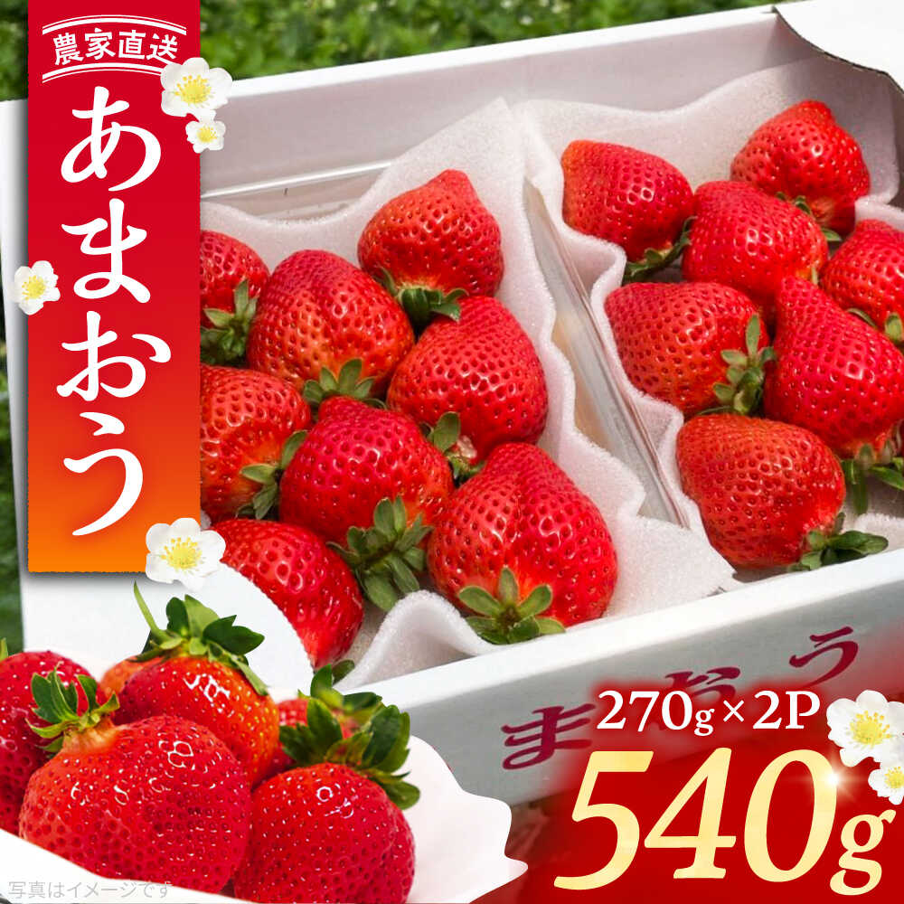 【2月-4月発送】農家直送 あまおう 540g （270g以上 × 2 パック） 土耕栽培《豊前市》【内藤農園】果物 いちご [VAB014] 8000 8000円