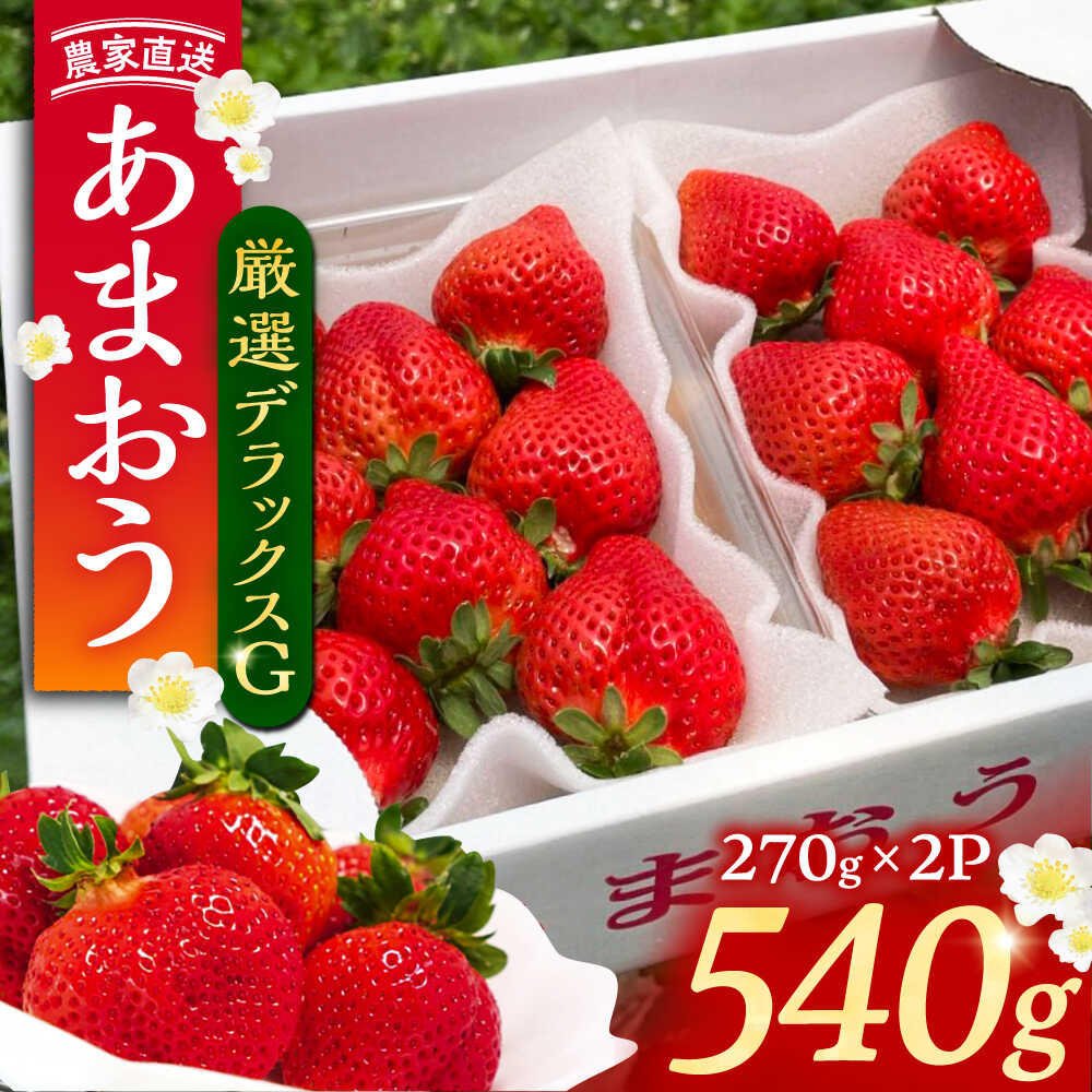 【2月-4月発送】農家直送 あまおう 厳選デラックスG 540g （270g以上 × 2 パック） 土耕栽培《豊前市》【内藤農園】果物 いちご [VAB015] 9000 9000円