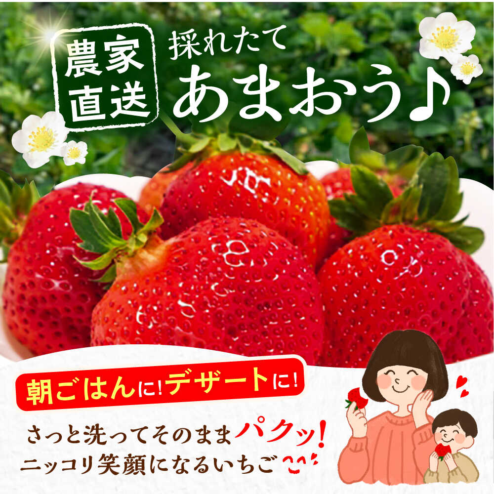 【ふるさと納税】【先行予約】【12月発送】農家直送 あまおう 厳選デラックスG 1080g (270g以上 × 4 パック) 土耕栽培《豊前市》【内藤農園】果物 いちご[VAB020] 16000 16000円 サムネイル2