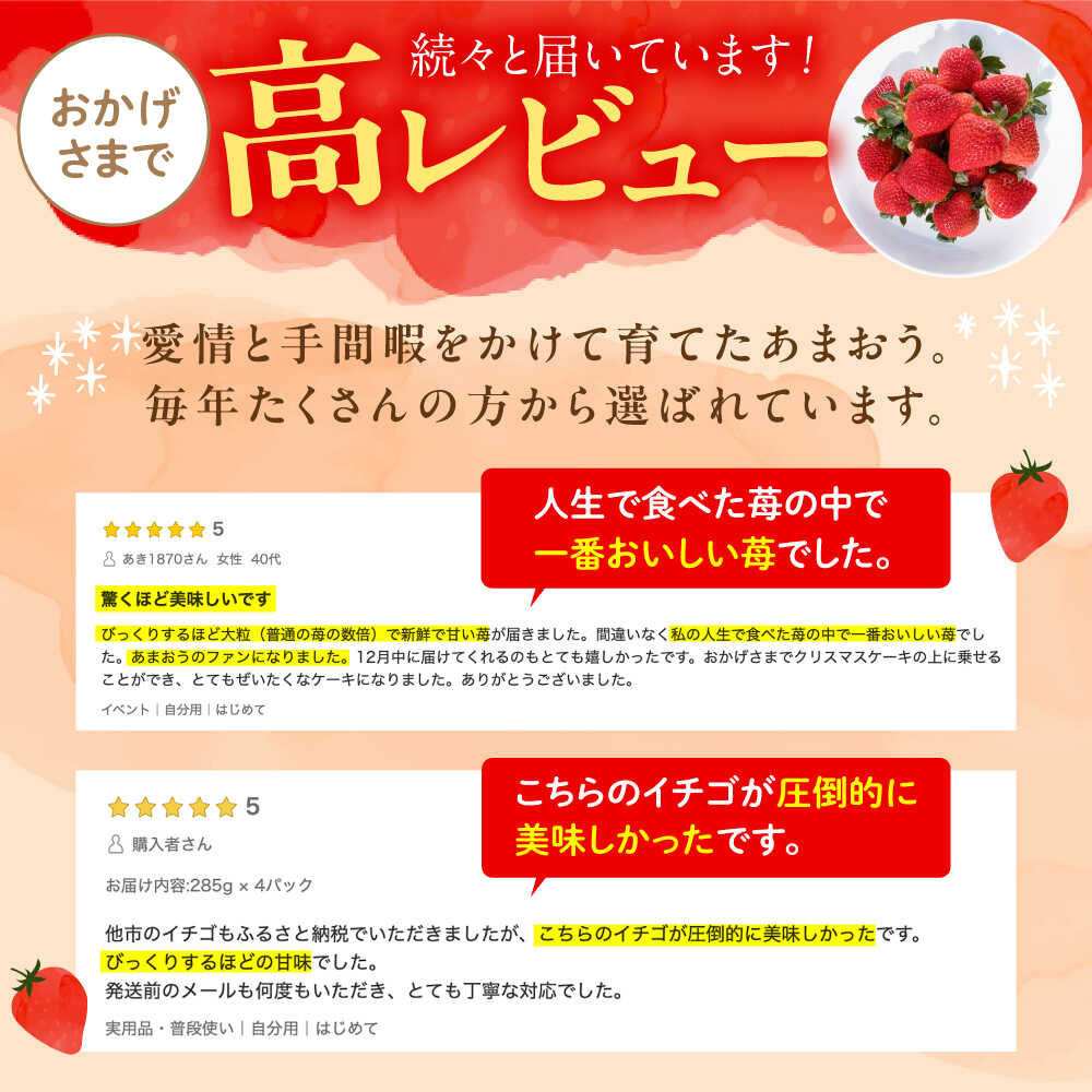 【ふるさと納税】【先行予約】【2026年1月下旬〜4月中旬発送】ココロファームの濃厚あまおう 2パック / 4パック (選べる個数)《豊前市》【ココロファーム】[VAE007] 苺 いちご あまおう 福岡県産 【※北海度・沖縄および離島への配送不可】 サムネイル2