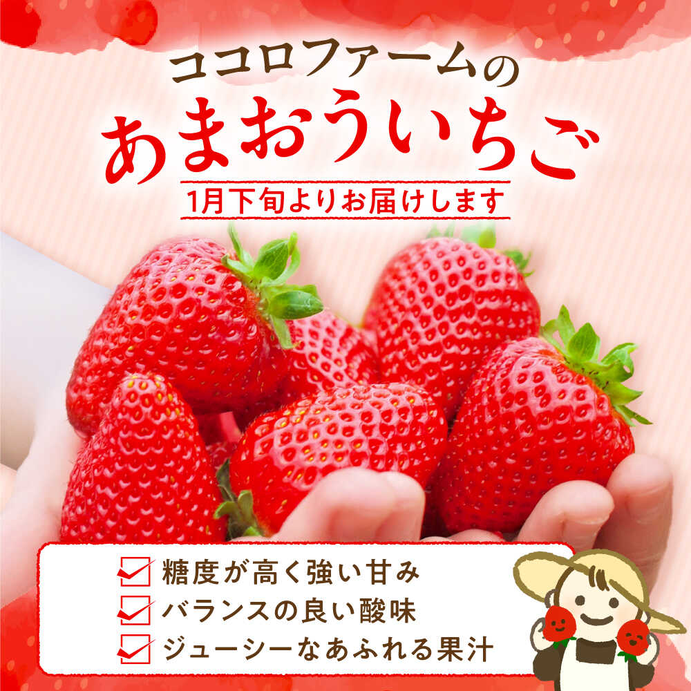 【ふるさと納税】【先行予約】あまおう 540g 1080g 2パック 4パック ココロファームの濃厚あまおう【2027年1月下旬〜3月下旬発送】《豊前市》【ココロファーム】[VAE007] 苺 いちご あまおう 福岡県産 - 画像3
