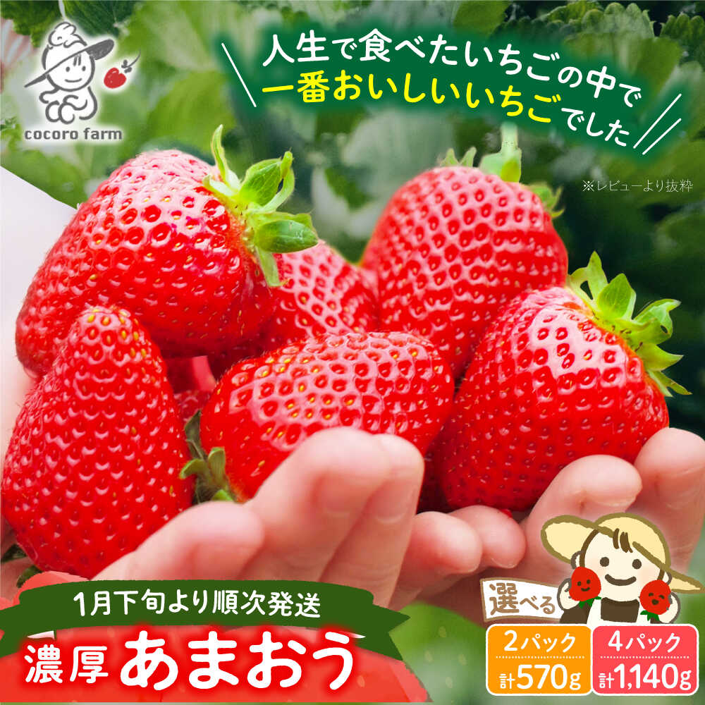 【先行予約】【2026年1月下旬〜4月中旬発送】ココロファームの濃厚あまおう 2パック / 4パック (選べる個数)《豊前市》【ココロファーム】[VAE007] 苺 いちご あまおう 福岡県産 【※北海度・沖縄および離島への配送不可】