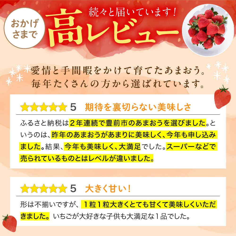 【ふるさと納税】【先行予約】あまおう 540g 1080g 2パック 4パック ココロファームの濃厚あまおう【2026年12月中旬～翌4月上旬発送】《豊前市》【ココロファーム】[VAE009] 苺 いちご あまおう 福岡県産 - 画像2