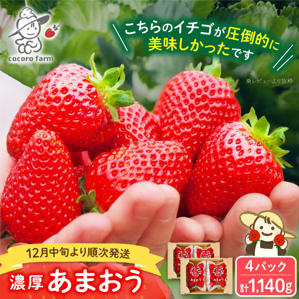 【2025年12月中旬〜翌4月中旬発送】 あまおう ココロファームの濃厚あまおう 285g × 4パック 《豊前市》【ココロファーム】[VAE009] 苺 いちご 福岡県産 【※北海度・沖縄および離島への配送不可】