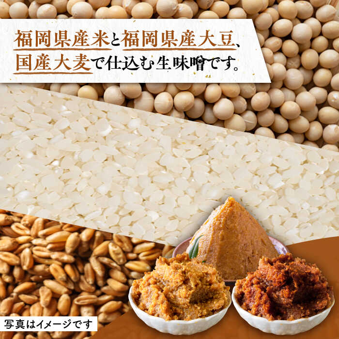 【ふるさと納税】麹の力みそ 3点 セット（米・合わせ・玄米）〜老舗の醤油蔵からお届け〜 《豊前市》【浦野醤油醸造元】味噌 美味しい お試し [VAV006] 7000 7000円 - 画像3